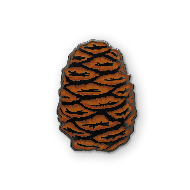Sequoia Pinecone